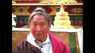 Lama Tharchin Rinpoche Discusses His Holiness Thinley Norbu Rinpoches Cremation [upl. by Atsyrk492]