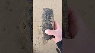 Huge Fossil Find Beachcombing UK beachcombing fossil [upl. by Sidnac598]