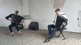 Street Accordion Instrument Performers accordion travel music poland viralvideo trending [upl. by Juxon]