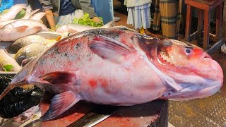 Expensive Fish Cutting Skills  Huge Silver CarpBighead Fish Cutting Skills In Fish Market [upl. by Reahard]