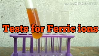 Tests for Ferric ions [upl. by Franzen]