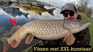 SNOEKVISSEN MET XXL KUNSTAAS VANAF DE KANT [upl. by Francyne203]