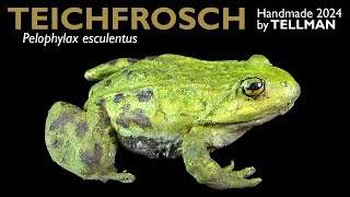 Teichfrosch Pelophylax esculentus realistisches 2024 handmade Modell von TellMan  Unboxing [upl. by Peria]