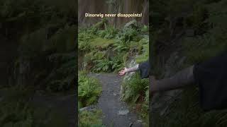 A must explore the awesome Dinorwig quarry If you know where to look these little caves are stunning [upl. by Gen]