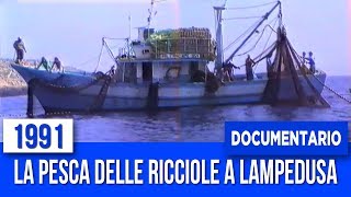 DOCUMENTARIO  La pesca delle ricciole a Lampedusa  1991 [upl. by Krilov844]