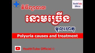 នោមច្រើន មូលហេតុនិងវិធីព្យាបាល l Polyuria causes and treatment l នោមច្រើន l HealthTube Official [upl. by Daffodil]