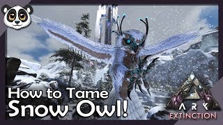 How To Tame Snow Owl  ARK Extinction [upl. by Nolad90]