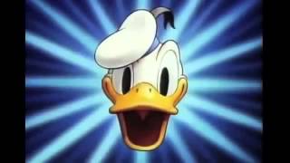 Classic Cartoon CollectionDonald Duck and Pluto  4 HOURS  DonaldDuckWorld [upl. by Nibroc339]