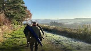 Pheasant amp Partridge Shooting [upl. by Nehtan598]