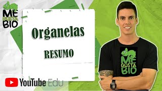 Organelas  Resumo Professor Gustavo [upl. by Innej]