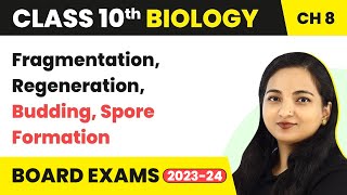 Fragmentation Regeneration Budding Spore Formation  Class 10 Biology Chapter 8 [upl. by Kronick]