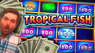 NEW SLOT ALERT BIG WIN LIVE PLAY and BONUSES On Tropical Fish Slot Machine [upl. by Yssirk1]