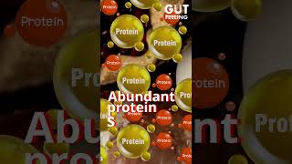 Food Vs Powder Which Is The Best Source Of Protein [upl. by Kosak]