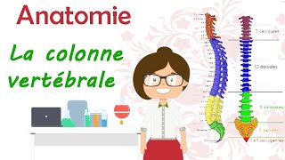 Anatomie  la colonne vertébrale  le rachis  cours de 2éme année medecine [upl. by Anwahsal254]