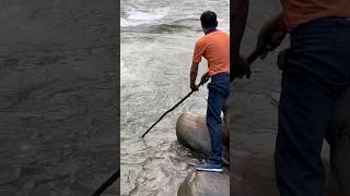 Amazing Trout Fish 🐠 amp Fishing in River Video [upl. by Eimmaj]