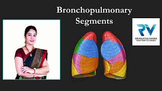 Bronchopulmonary Segments by Dr Rajitha Vanga [upl. by Bruno538]