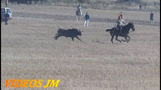 Encierro Loranca de Tajuña 150924 [upl. by Gerry443]