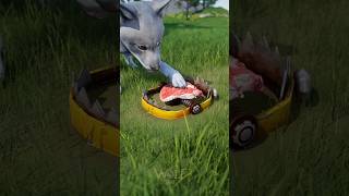 लोमड़ी ने शेर का मांस खाया 😭😭wolf wolfgames ytshorts gaming wolfgameryt gamingvideos [upl. by Adnorrahs]