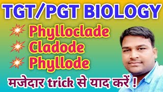 Phylloclade Cladode Phyllode  tricky biology  Difference between Phylloclade Cladode amp Phyllode [upl. by Levesque]