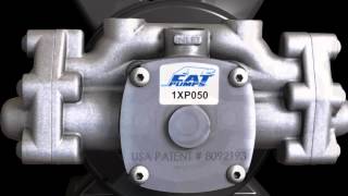 New 1XP Carpet Extractor Pump From Cat Pumps [upl. by Brabazon]