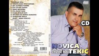 Novica Tekic  Trista dana sto kafana  Audio 2014 [upl. by Darrick]