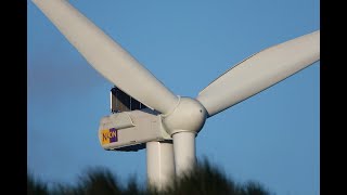 Slufterdam wind farm Rotterdam Netherlands 14 x Vestas V1123600 wind turbines [upl. by Marlo]