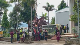 install bird of paradise on UOG sign Board [upl. by Barrie]