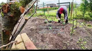 How to start a Vegetable Garden in Stockland Green Smilingsmiler vegetablegarden [upl. by Kcirttap]