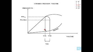 7  Physiologie cardio vasculaire partie 7 [upl. by Capwell]