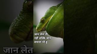 Snake Venom Interesting facts shorts facts [upl. by Ocram924]