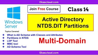 ADDS NTDSDIT File Partitions [upl. by Atnoved64]