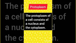 Definition of Protoplasm [upl. by Peterson982]