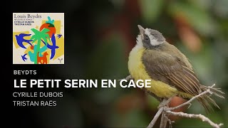 Louis Beydts Le Petit serin en cage  Cyrille Dubois amp Tristan Raës LYRIC VIDEO [upl. by Cressler]