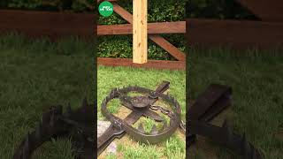 Grizzly Bear trap in action shorts trap bear [upl. by Sonahpets591]