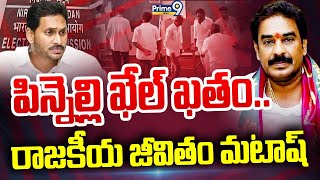 LIVE🔴పిన్నెల్లి రామకృష్ణ రెడ్డి రాజకీయ జీవితం క్లోజ్  Pinnelli Ramakrishna Reddy  Prime9 [upl. by Hanikehs]