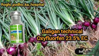 Adama galigan herbicide  Galigan use hindi Oxyfluorfen 235 EC galigan oxyfluorfen [upl. by Tebzil]