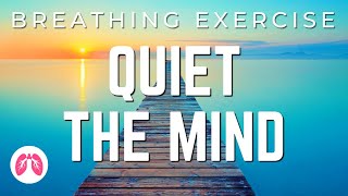 Breathing Exercises with Guided Meditation  5 Minutes  TAKE A DEEP BREATH [upl. by Vlad]