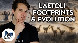 Do Laetoli Footprints Disprove Evolution [upl. by Ahsinom]