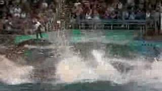 shamu jump [upl. by Navad]