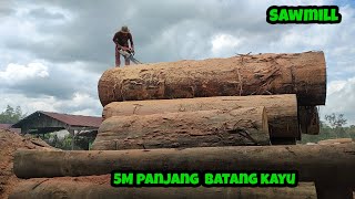 Amazing proses pengerjaan kayu terbesar menggunakan Chainsaw vs band saw [upl. by Elon]