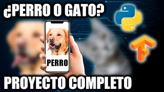 Crea un clasificador de perros y gatos con IA Python y Tensorflow  Proyecto completo [upl. by Naul]