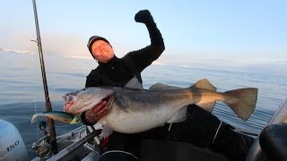 Fiskeri efter Skrei fra øen Sørøya i det nordlige Norge [upl. by Maguire]