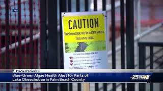 Bluegreen algae detected in Lake Okeechobee in Palm Beach County [upl. by Amaral]