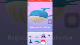 Evolve Wailord from Wailmer with IV 100  Pokemon Go [upl. by Hurst]