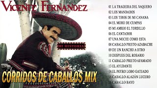 VICENTE FERNANDEZ 40 GRANDES ÉXITOS MIX  VICENTE FERNANDEZ CORRIDOS DE GALLOS [upl. by Kina]