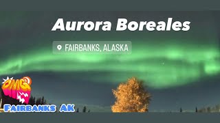 Aurora Boreales Fairbanks Alaska [upl. by Hanni]