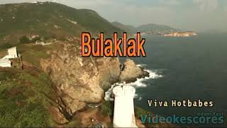 Viva Hot Babes  Bulaklak KaraokeLyricsInstrumental [upl. by Jayson]