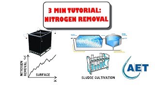 Increase Nitrogen removal [upl. by Atnicaj]