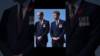 Prince Harry and Prince William Stunning Images Royal brother Fun each other sussexroyal [upl. by Aliuqaj918]