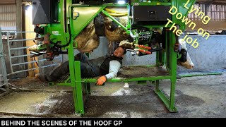 GETTING UP CLOSE AND PERSONAL WITH COWS UDDERS  KVK Advantages [upl. by Milewski]